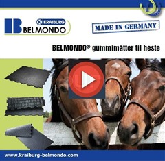 BELMONDO gummigulv – perfekt til hestehold
Se filmen om gulvenes fordele
