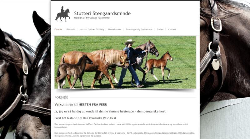 Klik på billedet for at se mere på Ellen Korsgaards hjemmeside: www.hestenfraperu.dk